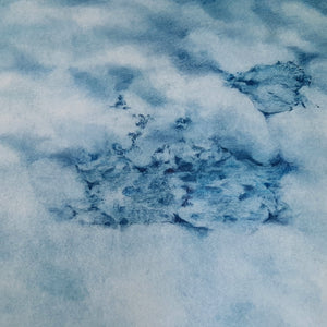 Cyanotype by Josefina Frederick